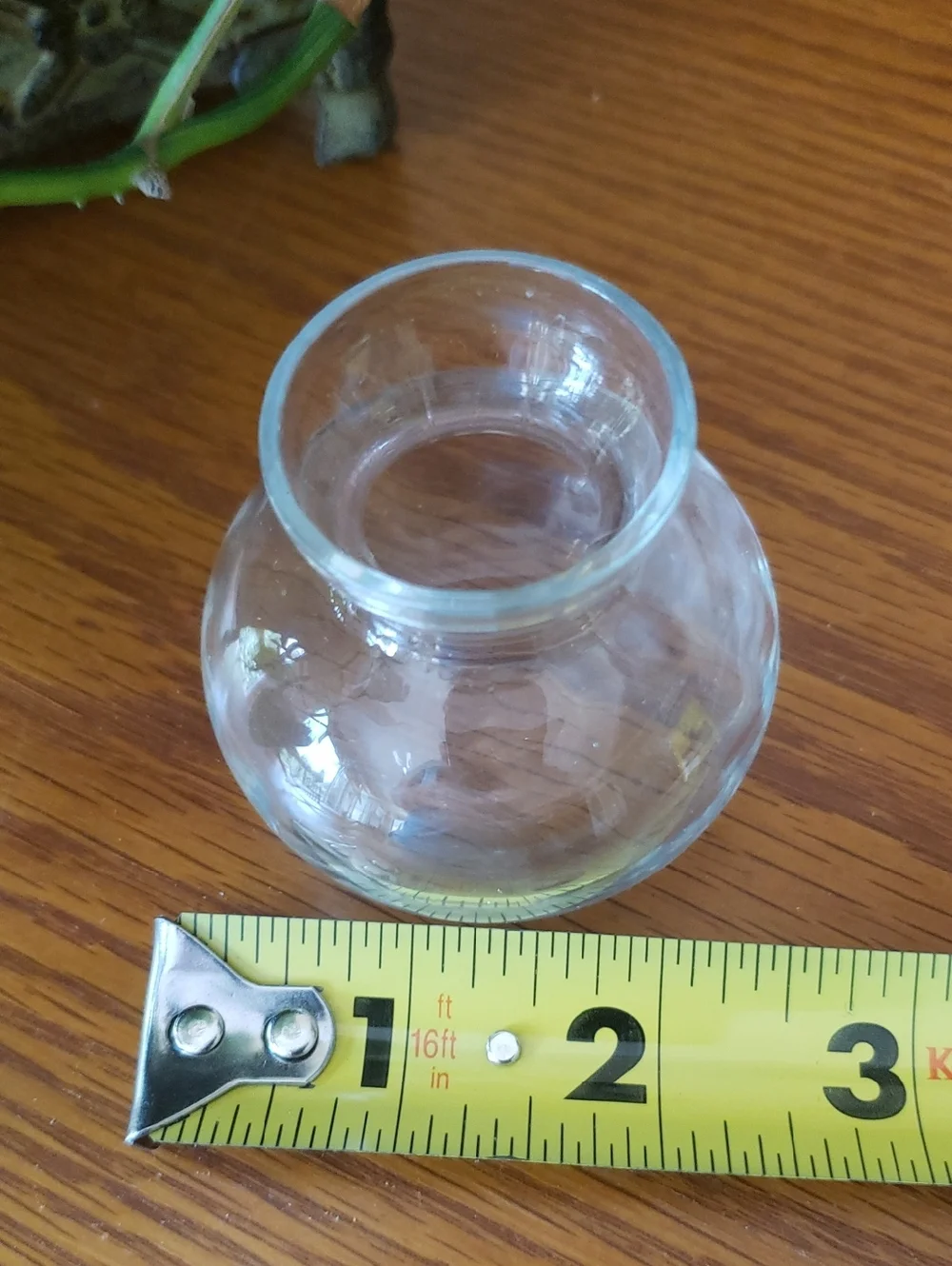 Elegant Clear Glass Vases- Set Of 3